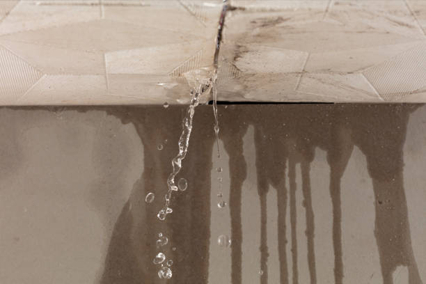 Professional Structural Drying technician working in Dunellen, NJ